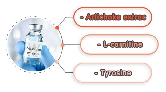 ตัวยาในเมโสแฟต