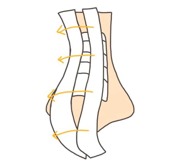 วิธีถอดเผือก-ขั้นตอนที่-6